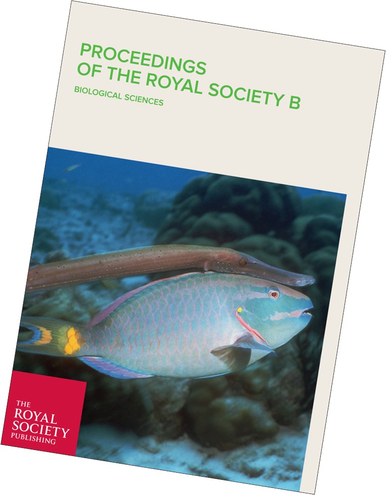 Trumpetfish Proceeding B front cover